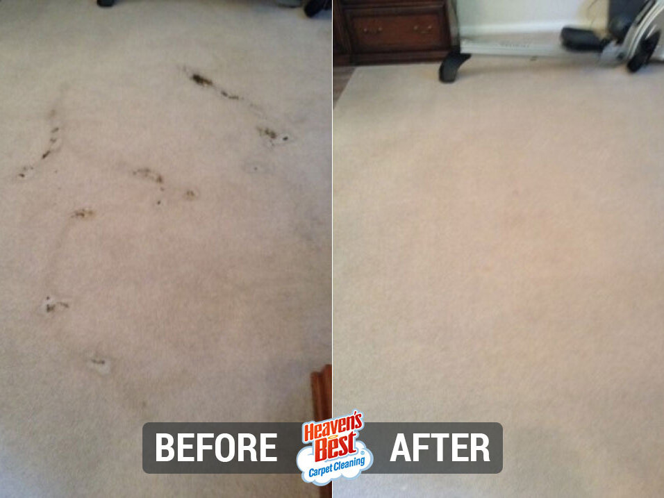 Heaven's Best Carpet Cleaning of Herriman UT