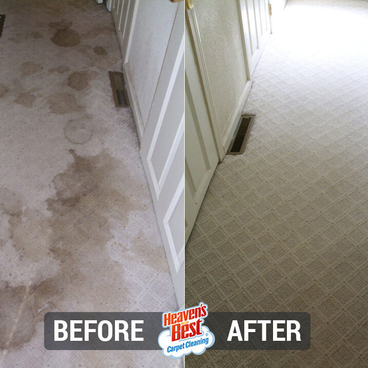 Heaven's Best Carpet Cleaning of Herriman UT